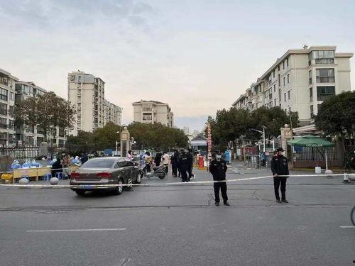 浦东新高苑最新爆料信息,揭秘神秘豪宅背后的故事